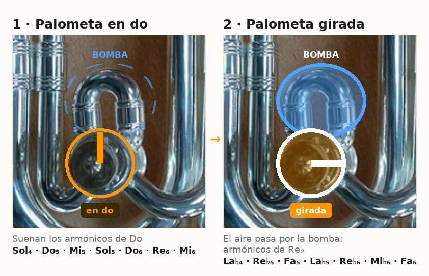 Las dos posiciones de la palometa de la corneta: a la izquierda, en do, con la palanca vertical y la bomba cerrada, que da los armónicos de Do; a la derecha, girada, con la palanca horizontal y la bomba abierta, que da los armónicos de Re bemol