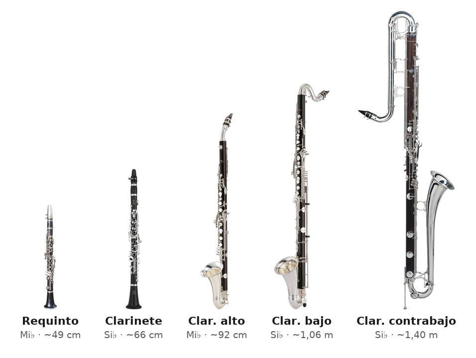 Los cinco tipos de clarinete comparados a escala real de tamaño: requinto, clarinete, clarinete alto, clarinete bajo y clarinete contrabajo, del más pequeño al más grande