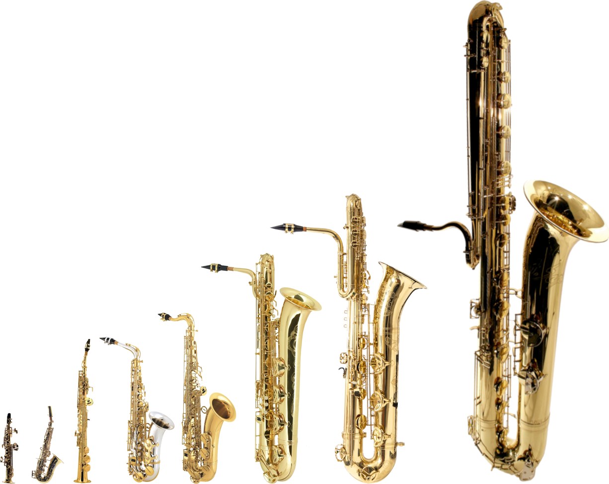 Los tipos de saxofón comparados a escala real de tamaño, del más pequeño (soprillo y sopranino) al contrabajo