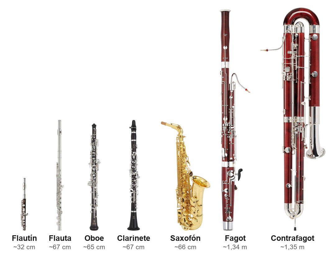 Los principales instrumentos de viento madera comparados a escala real de tamaño: flautín, flauta, oboe, clarinete, saxofón, fagot y contrafagot, del más pequeño al más grande