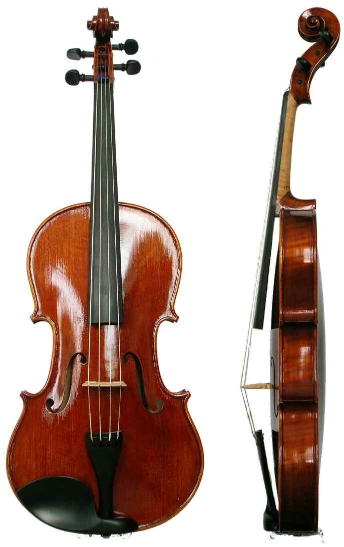 Una viola vista de frente y de perfil: caja de resonancia, cuatro cuerdas, mástil sin trastes y clavijero